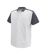 poloshirt-cesar Wit/grijs