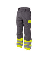 Dassy Lenox multinorm broek